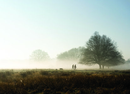 Build a Hiking Trail Image